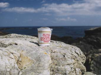 ���ꂼ�n�R���s