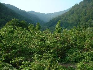 �؂��΂���