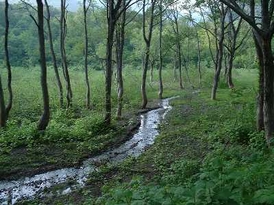 ���J�� �J���R�o�R���t��