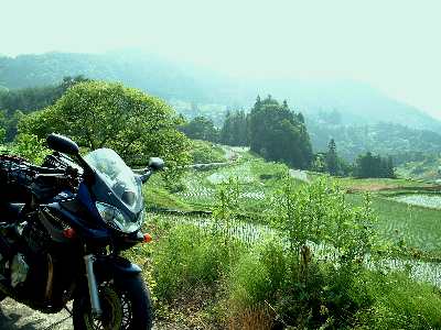 ���쌧�剪��